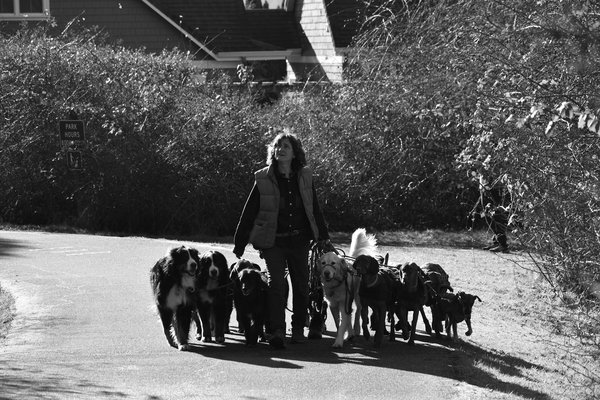 Essential Care Tips and Best Practices for Nurturing Hairless Breeds Like the Bambino Cat